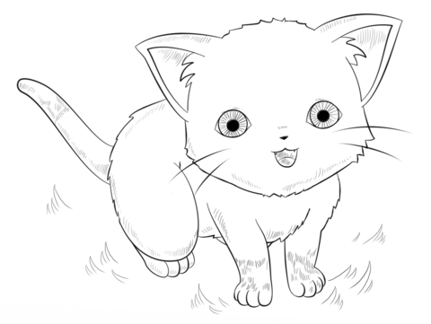 Anime Cat Coloring Page